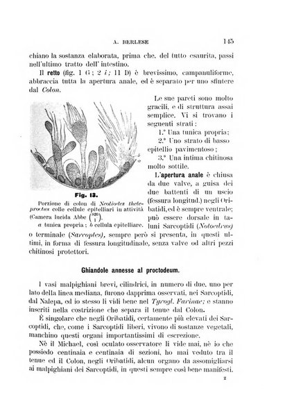 Rivista di patologia vegetale