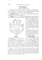 giornale/UFI0011617/1896-1897/unico/00000154