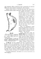 giornale/UFI0011617/1896-1897/unico/00000155