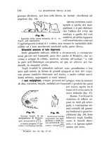 giornale/UFI0011617/1896-1897/unico/00000156