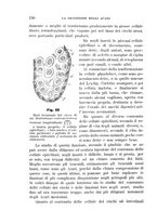 giornale/UFI0011617/1896-1897/unico/00000164