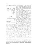 giornale/UFI0011617/1896-1897/unico/00000174