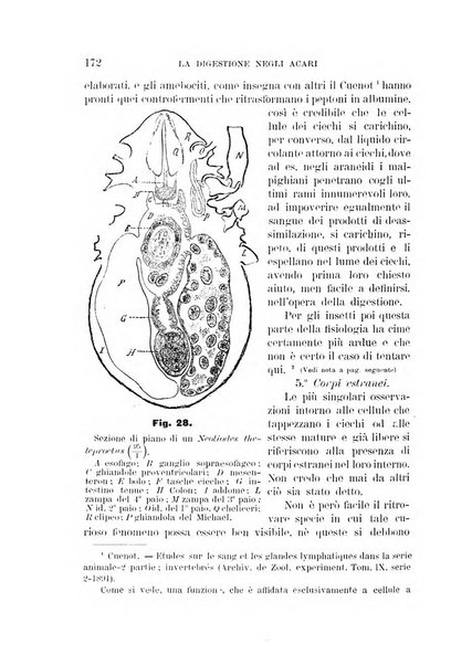 Rivista di patologia vegetale