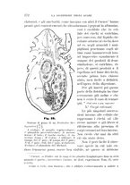 giornale/UFI0011617/1896-1897/unico/00000180