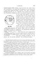 giornale/UFI0011617/1896-1897/unico/00000183