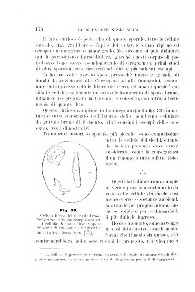 Rivista di patologia vegetale