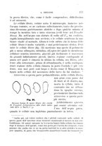 giornale/UFI0011617/1896-1897/unico/00000185