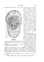 giornale/UFI0011617/1896-1897/unico/00000193