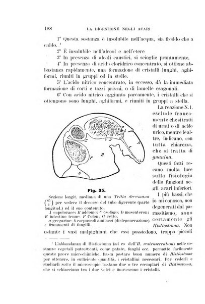 Rivista di patologia vegetale