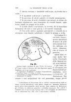 giornale/UFI0011617/1896-1897/unico/00000196