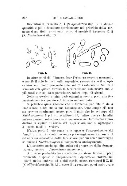 Rivista di patologia vegetale