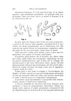 giornale/UFI0011617/1896-1897/unico/00000226