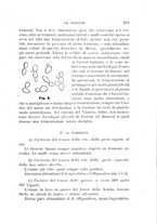 giornale/UFI0011617/1896-1897/unico/00000227