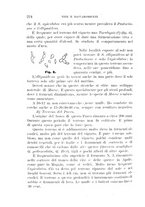 giornale/UFI0011617/1896-1897/unico/00000232