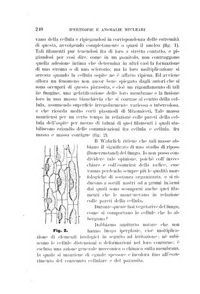 Rivista di patologia vegetale