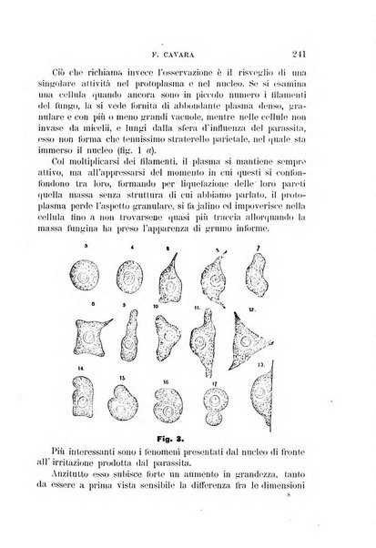 Rivista di patologia vegetale