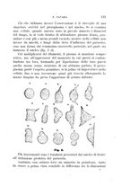 giornale/UFI0011617/1896-1897/unico/00000249