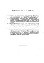 giornale/UFI0011617/1896-1897/unico/00000260