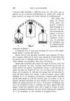 giornale/UFI0011617/1896-1897/unico/00000310