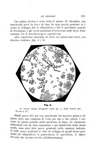 Rivista di patologia vegetale