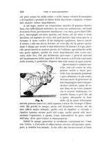 giornale/UFI0011617/1896-1897/unico/00000330