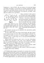 giornale/UFI0011617/1896-1897/unico/00000337
