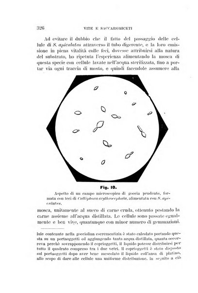 Rivista di patologia vegetale