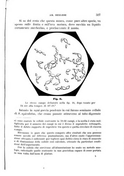 Rivista di patologia vegetale