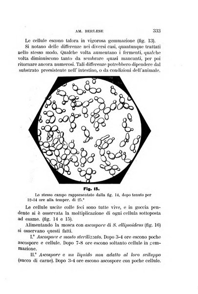 Rivista di patologia vegetale