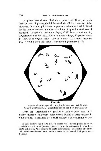 Rivista di patologia vegetale