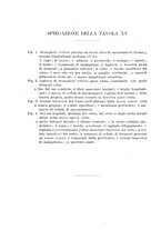 giornale/UFI0011617/1896-1897/unico/00000354