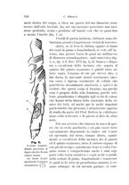 giornale/UFI0011617/1896-1897/unico/00000356