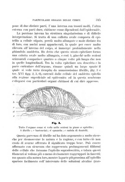 Rivista di patologia vegetale