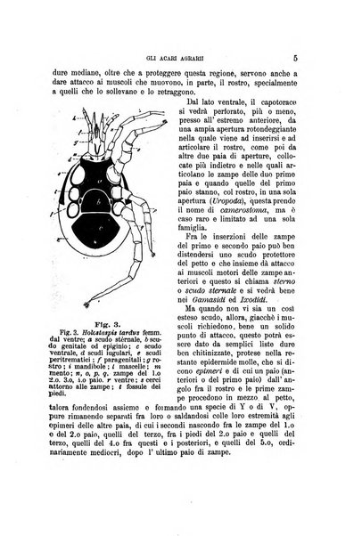 Rivista di patologia vegetale