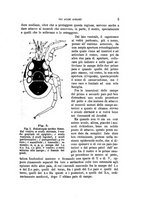 giornale/UFI0011617/1897-1898/unico/00000011
