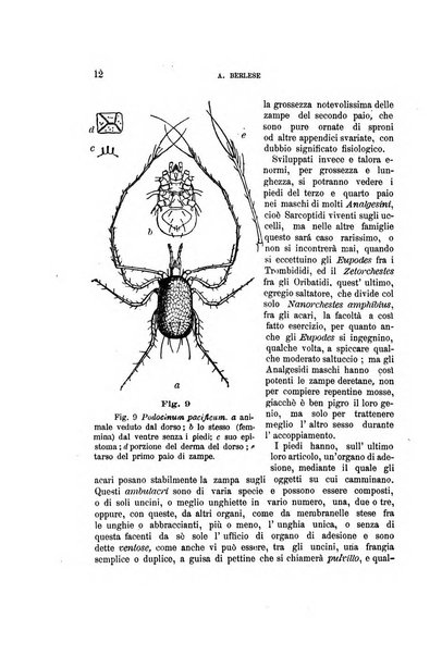 Rivista di patologia vegetale