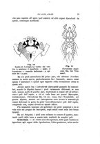 giornale/UFI0011617/1897-1898/unico/00000019