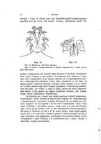 giornale/UFI0011617/1897-1898/unico/00000020