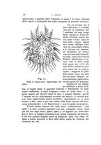 giornale/UFI0011617/1897-1898/unico/00000034