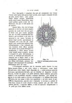 giornale/UFI0011617/1897-1898/unico/00000035