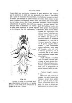giornale/UFI0011617/1897-1898/unico/00000037
