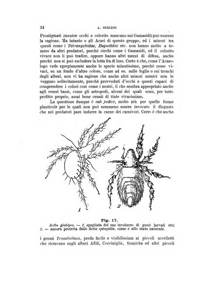 Rivista di patologia vegetale