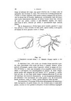 giornale/UFI0011617/1897-1898/unico/00000042