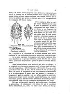 giornale/UFI0011617/1897-1898/unico/00000047