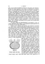 giornale/UFI0011617/1897-1898/unico/00000050