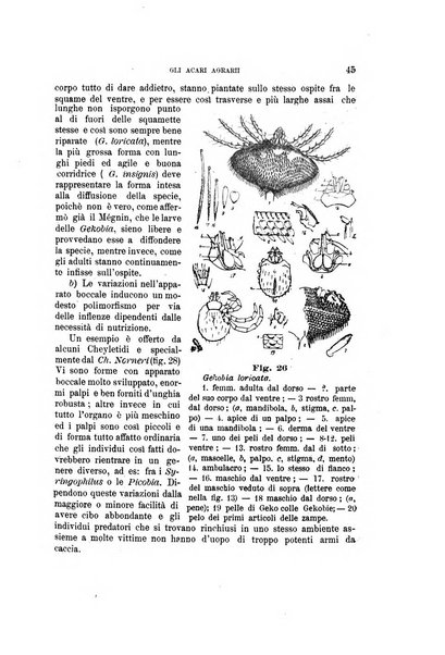 Rivista di patologia vegetale