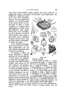 giornale/UFI0011617/1897-1898/unico/00000051