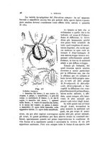 giornale/UFI0011617/1897-1898/unico/00000052