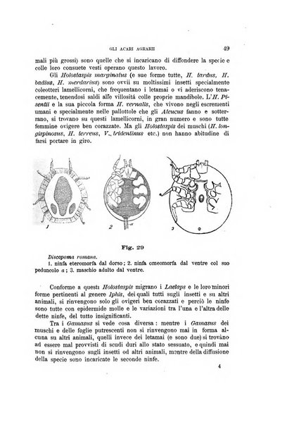 Rivista di patologia vegetale