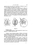 giornale/UFI0011617/1897-1898/unico/00000055